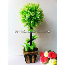 grass ball tree boxwood topiary leaf tree